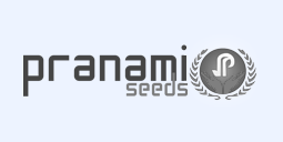 Pranami Seeds