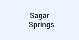 Sagar Springs