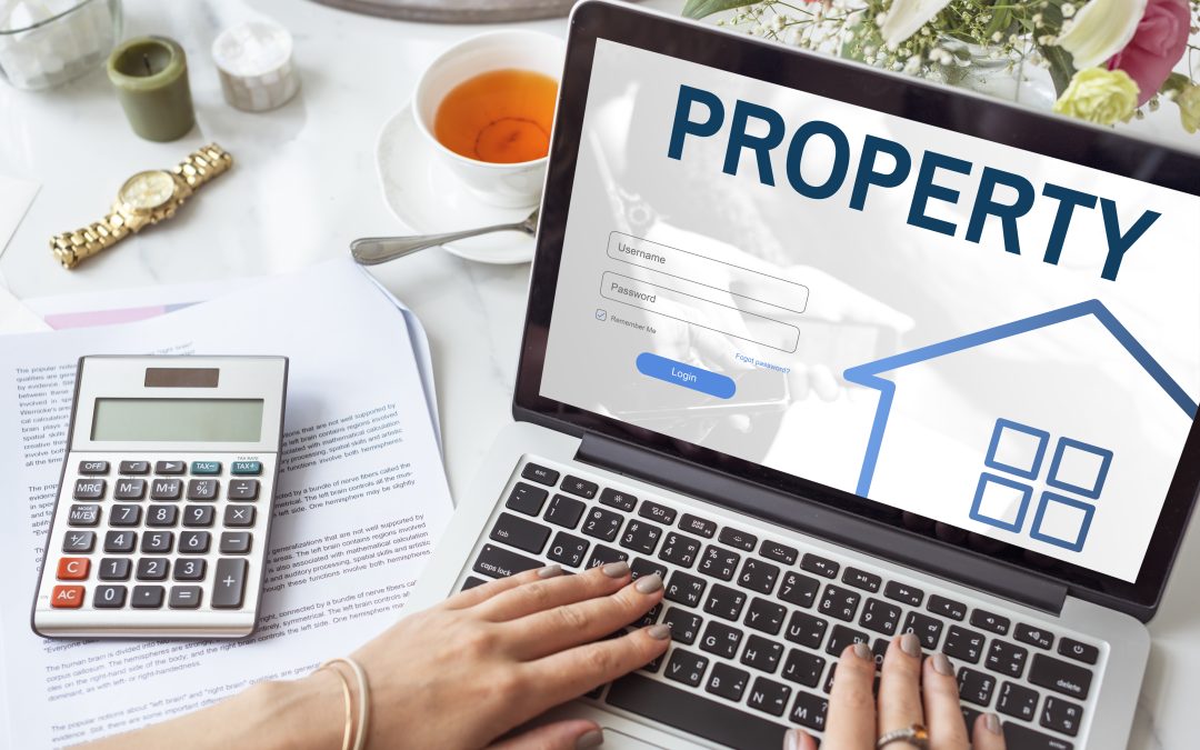 How can real estate portal development maximize your profit