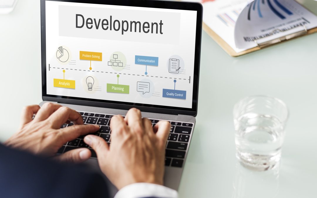 Why Small to Mid-Sized Businesses need Custom Software Development